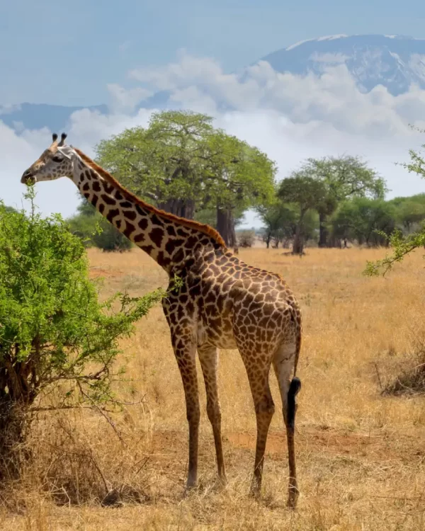 Arusha National Park