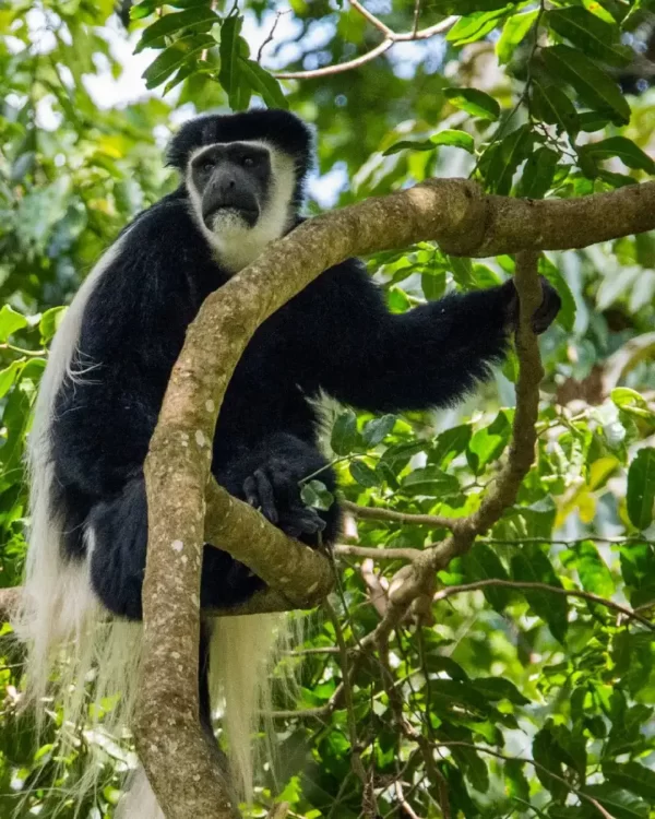 Arusha National Park