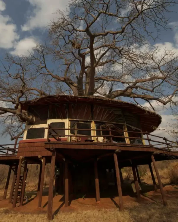 Elewana Tarangire Treetops