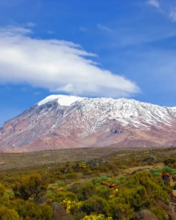 Kilimanjaro National Park