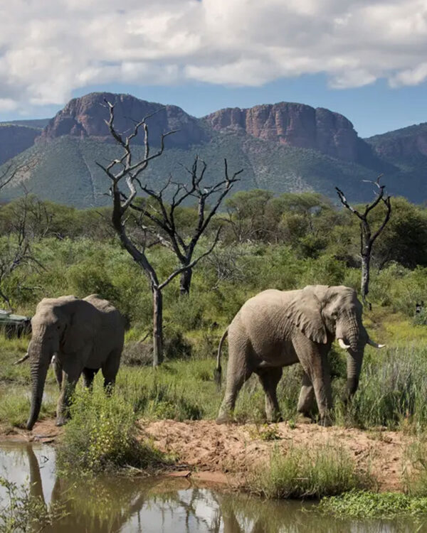 Ruaha National Park