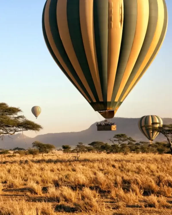 Tanzania Safari Cost