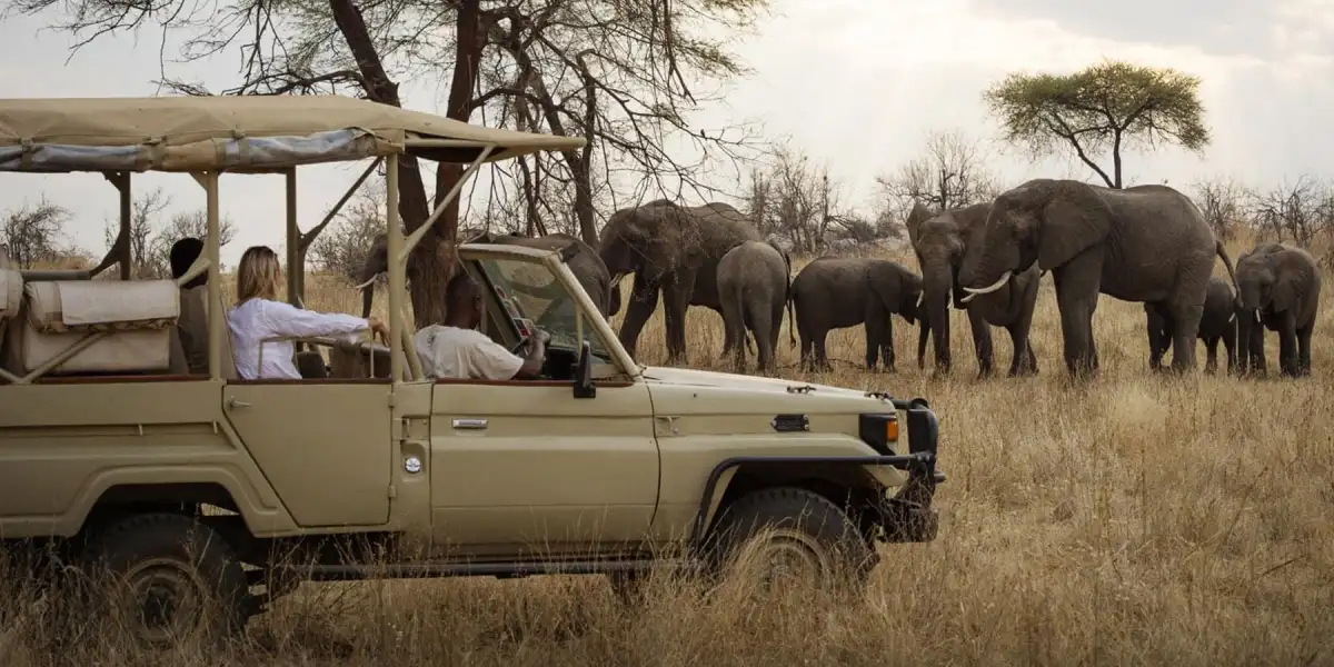 Tanzania Safari Cost