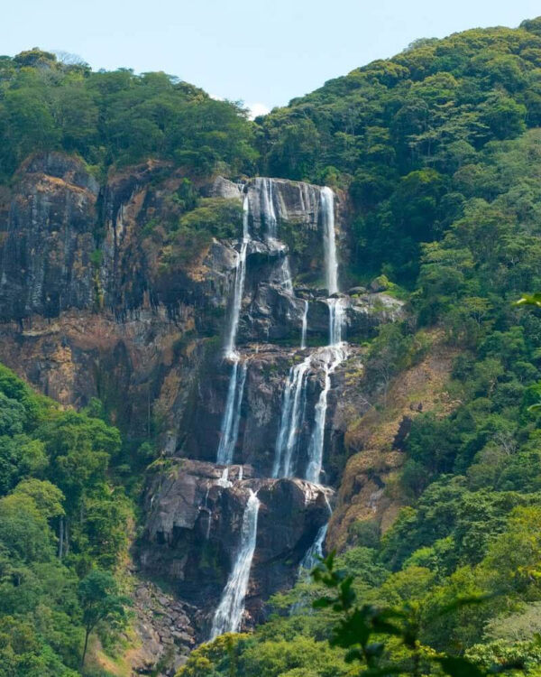 Udzungwa Mountains National Park