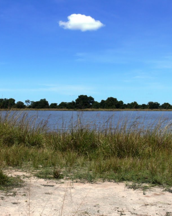 Ugalla River National Park