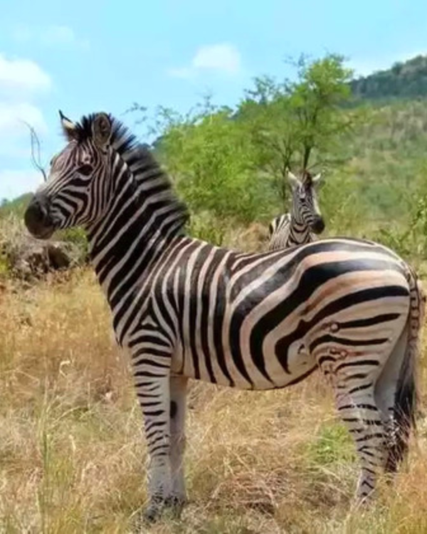 Ugalla River National Park