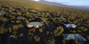 10 days serengeti walking safari