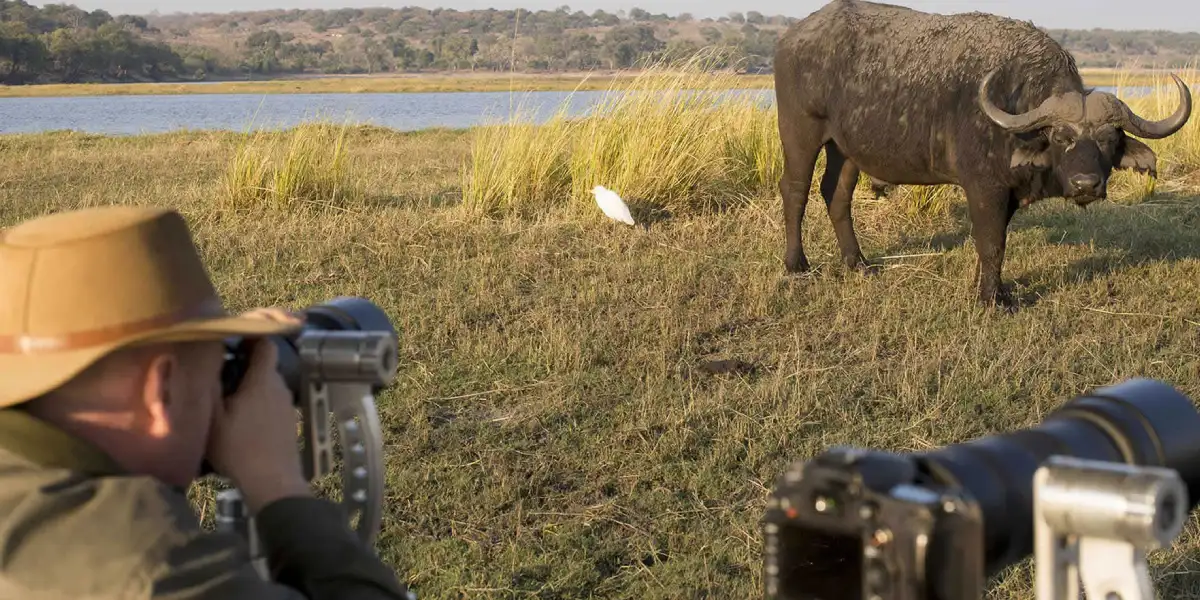 11 days great migration photographic safari