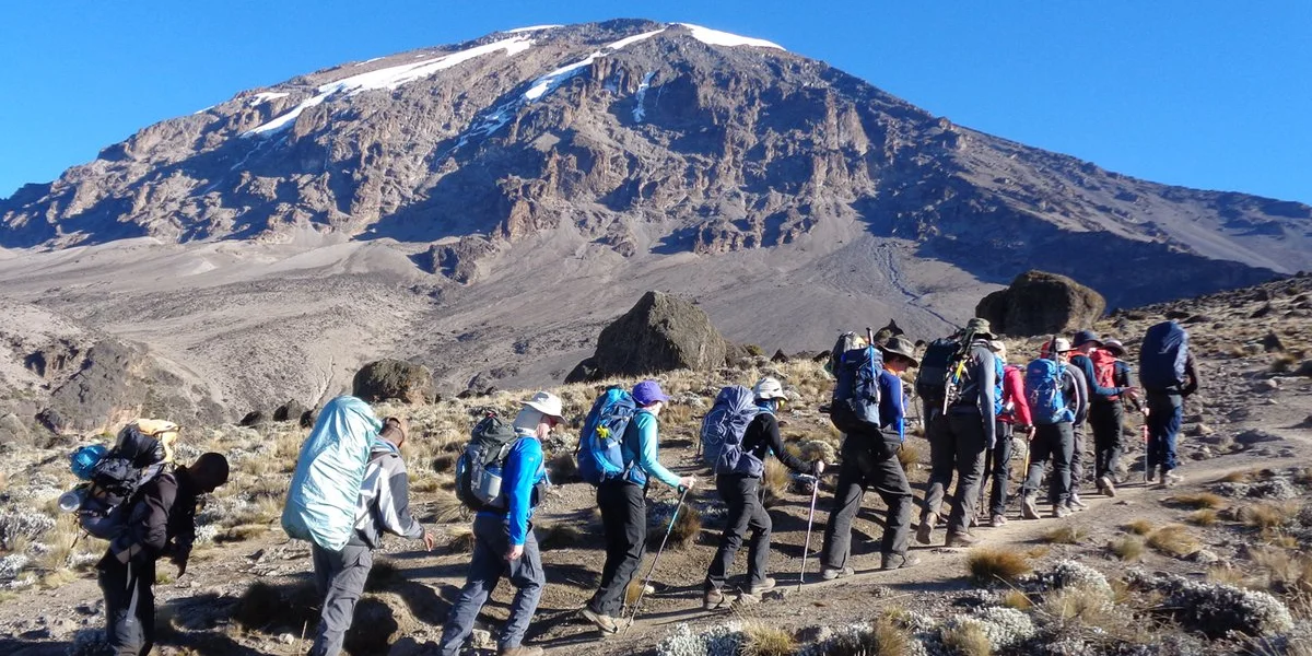 8 Day Lemosho Trekking