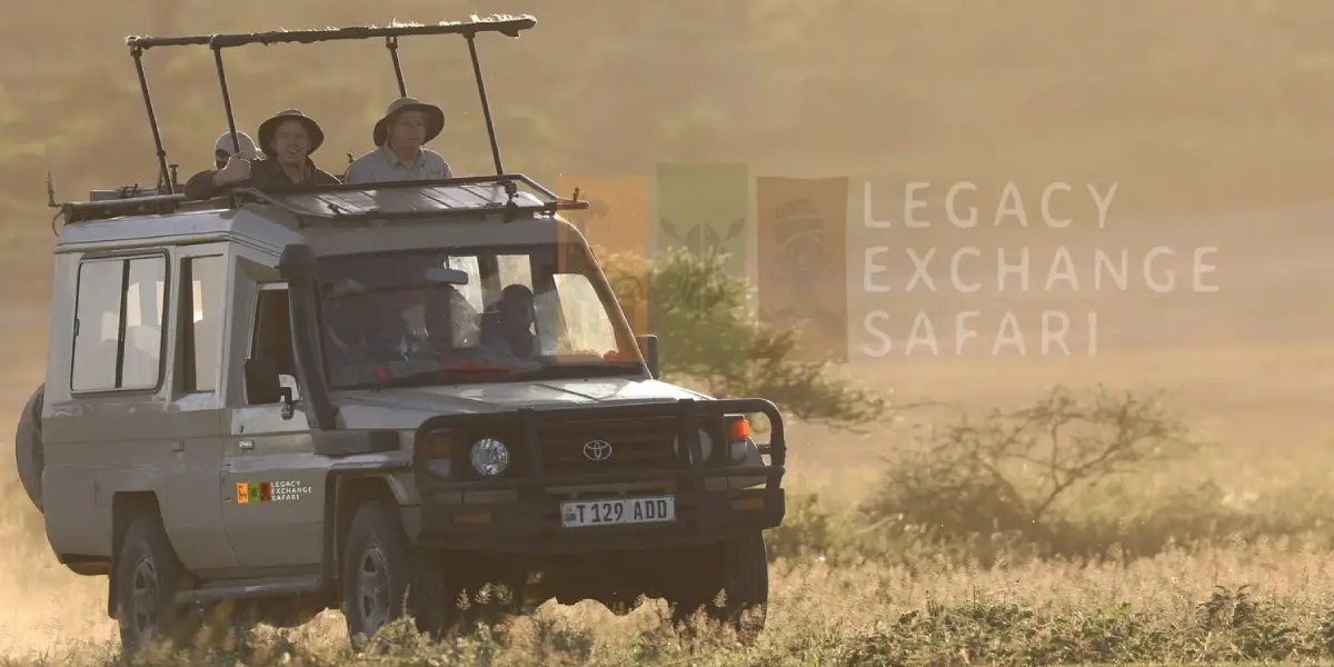 15 Days Volunteer Projects & Safaris in Tanzania