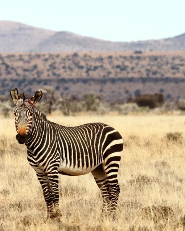 ibanda kyerwa national park