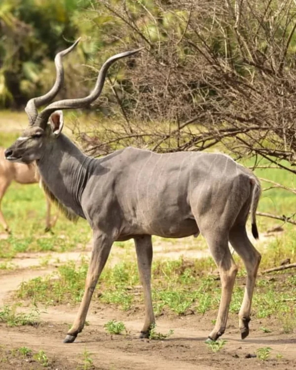ibanda kyerwa national park