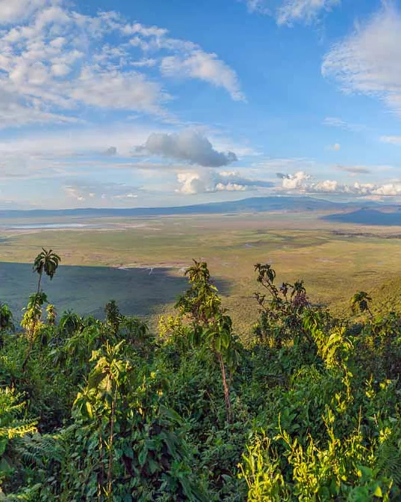 ibanda kyerwa national park