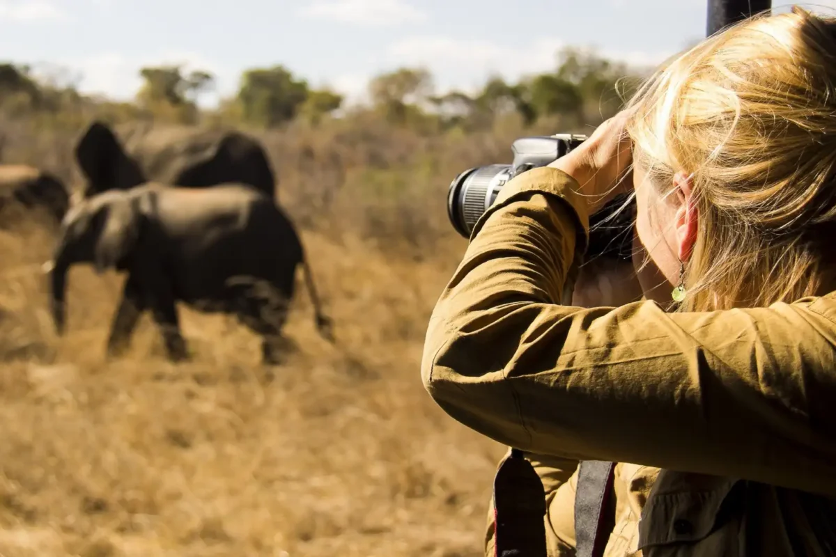Tanzania Photographic Safari