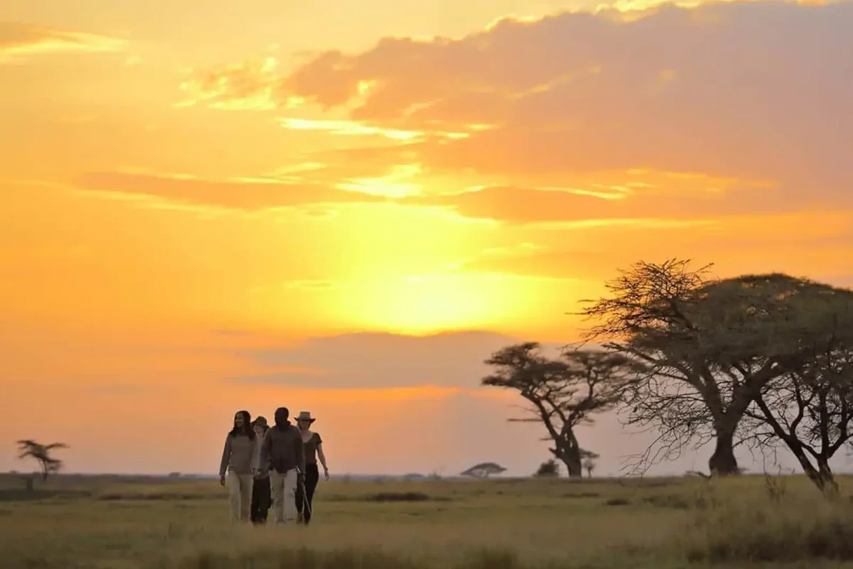 Tanzania Walking Safari