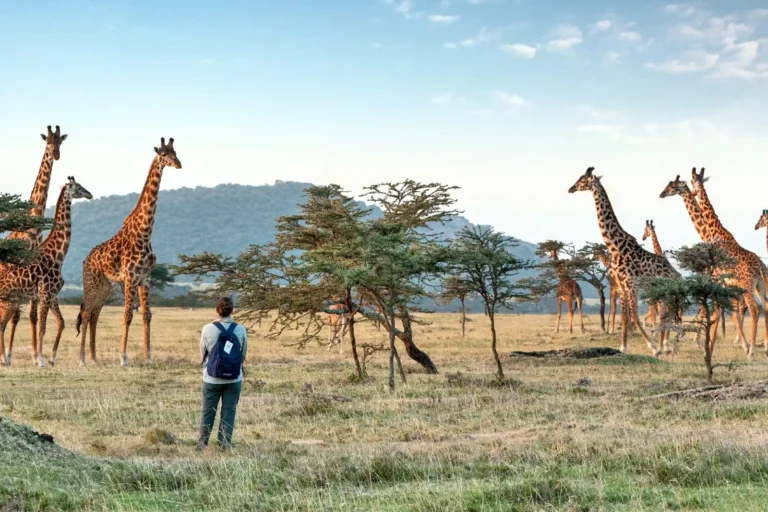8 Days Ngorongoro Highlands Trekking & Ultimate Walking Safari