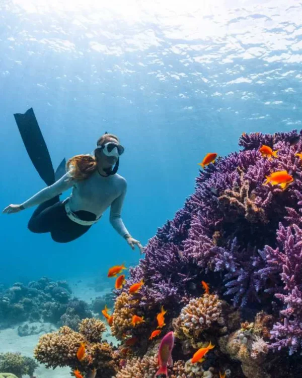 Zanzibar Island Beach Holiday