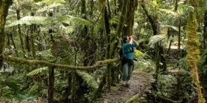 11 Days Uganda Safari