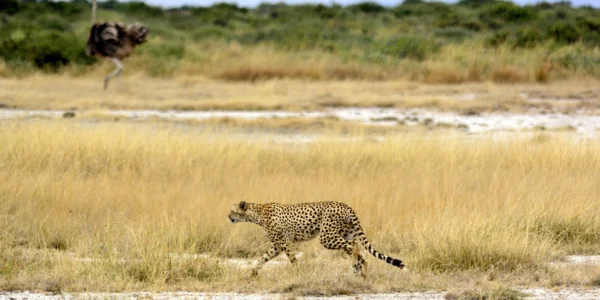 10 days cycling northern tanzania