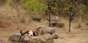 4 Days Mount Meru Trekking