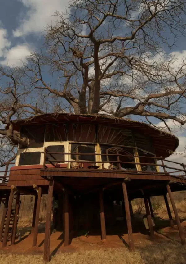 Elewana Tarangire Treetops