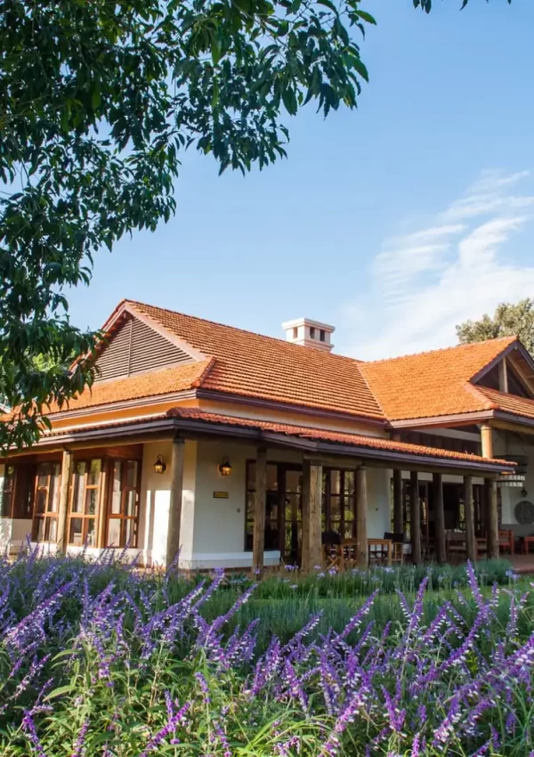 Legendary Lodge